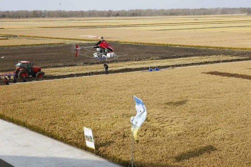 碧桂园进军无人化农场 农业技术研究的新篇章