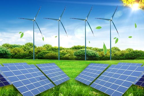 丁磊两会提案 聚焦数字经济与农业技术研究，五年34份建言勾勒产业升级蓝图