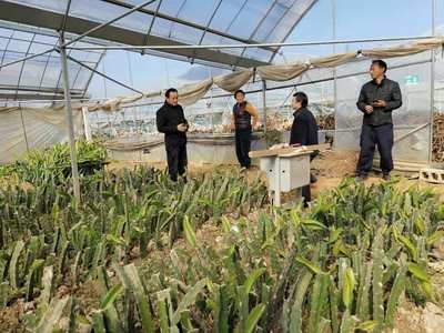 晋熙镇深化农技推广改革 赋能农业技术研究 稳定发展农业生产