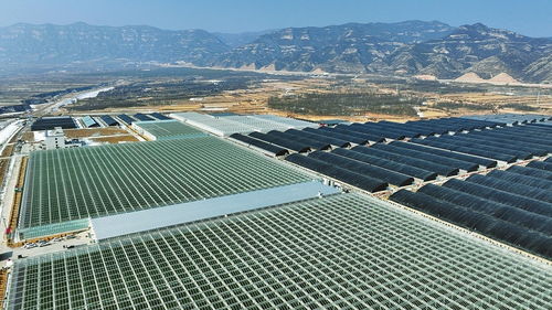 科技赋能，产业升级 山西阳曲农业产业化的创新实践