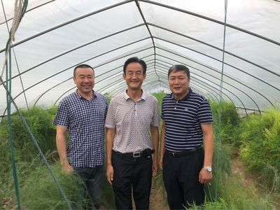 技术引领产业振兴 陈光宇博士赴南通双羊考察助推芦笋产业高质量发展