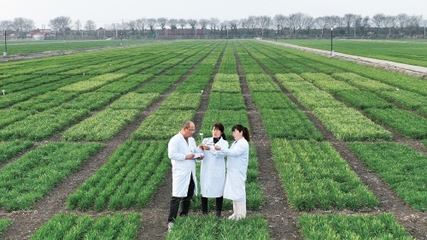 垦地融合 农业技术研究的创新与实践路径