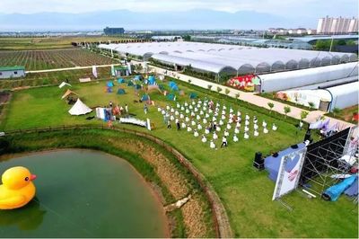 田间课堂展新风——第30届杨凌农高会续办农业技术田间推广展