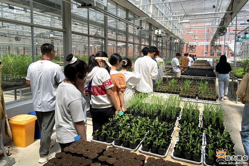 生命科学与微生物技术研究院师生深入青岛清原农冠，共探农业科技前沿