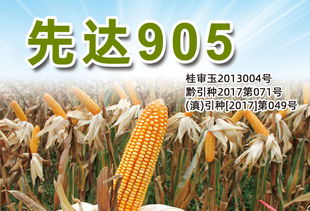 产品 三北种业 sanbeiseed 种子,玉米种子,种业公司,高产栽培,农业技术