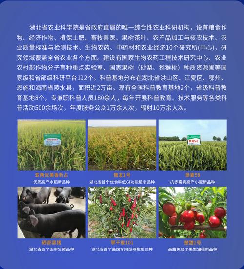 武汉量子技术研究院