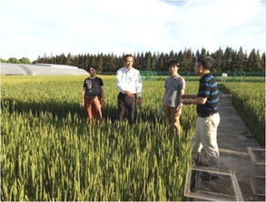 中日低碳农业技术研讨会在我院生态所低碳农业中心成功召开